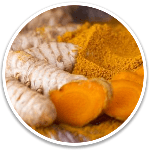 Turmeric Rhizome- Alpilean Ingredient